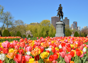 보스턴지사 웰컴파티 현장스케치 후기 썸네일